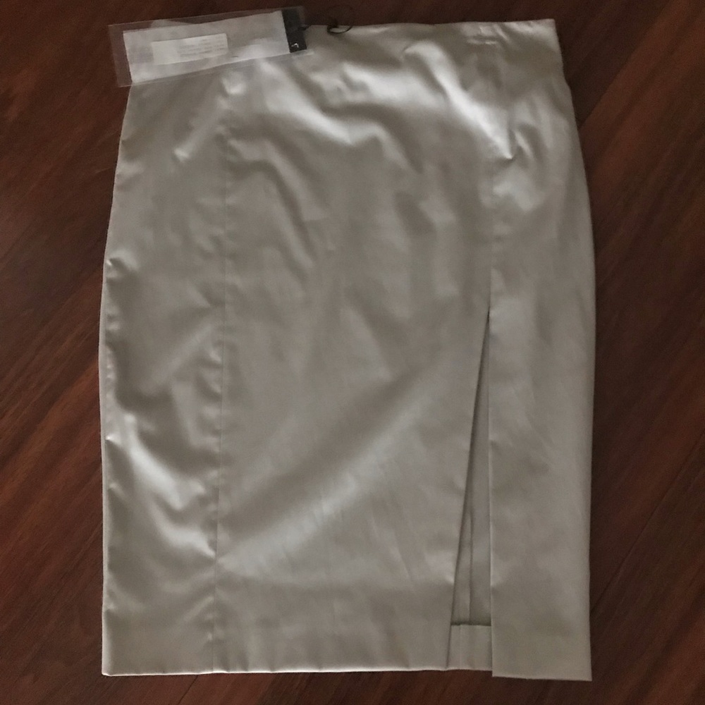Cristina Effe Pencil Skirt